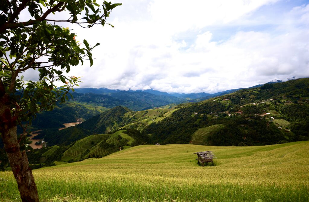 If you visit Mu Cang Chai, don’t miss Hang Phu Loa Village